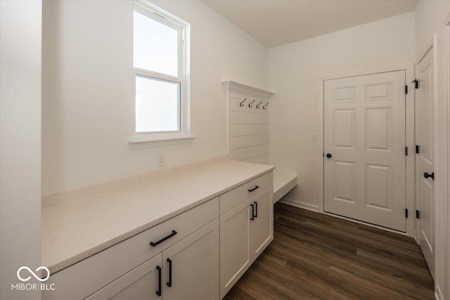 interior space with dark hardwood / wood-style floors