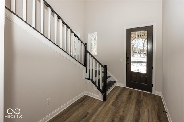 foyer with a towering ceiling and dark wood-type flooring