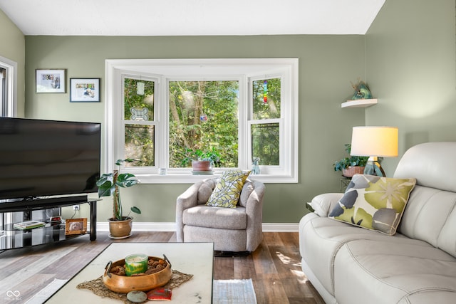 living room featuring wood-type flooring