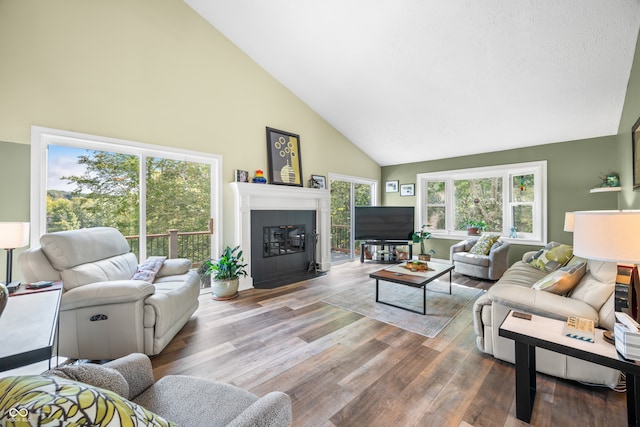 living room featuring high vaulted ceiling, wood-type flooring, and plenty of natural light