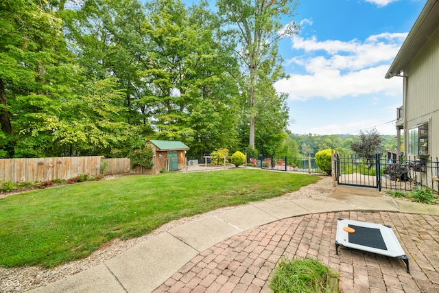 view of yard with a storage unit and a patio