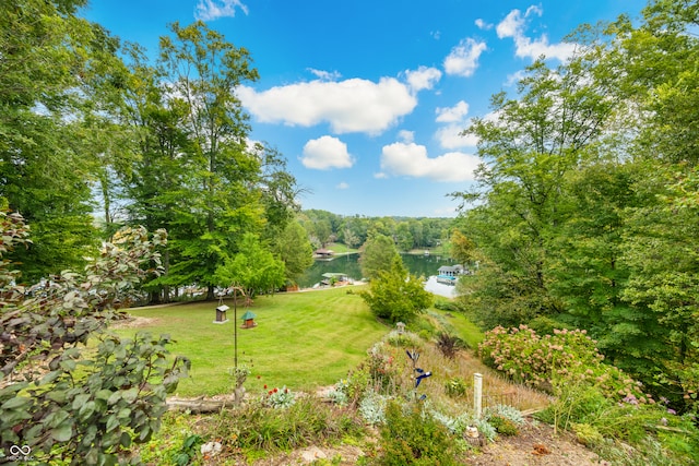 view of yard with a water view