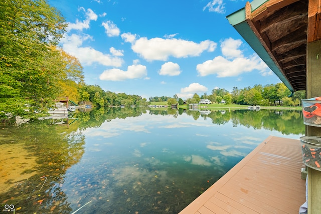 dock area with a water view