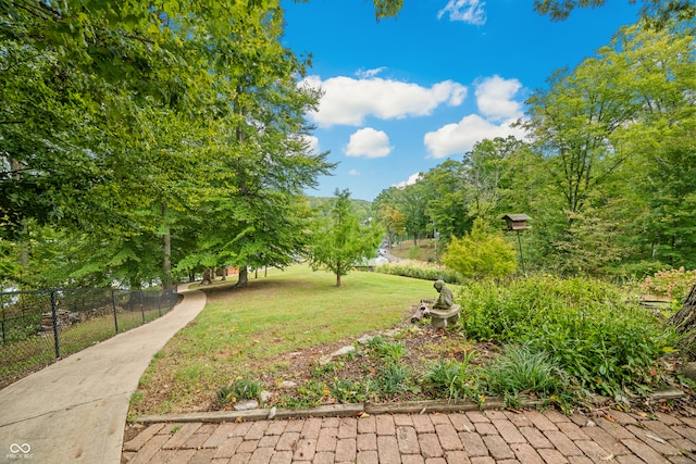 view of home's community with a yard