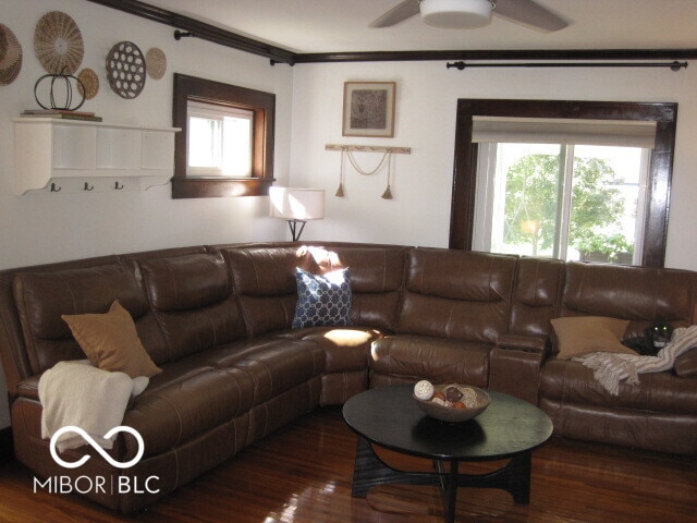 living room featuring ceiling fan, ornamental molding, plenty of natural light, and dark hardwood / wood-style floors