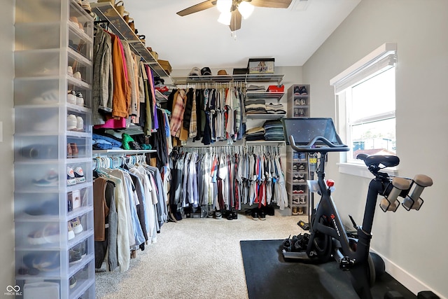 spacious closet featuring ceiling fan and carpet