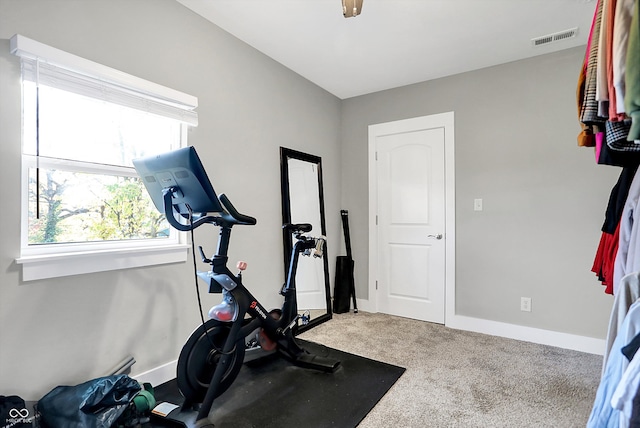 exercise room with carpet