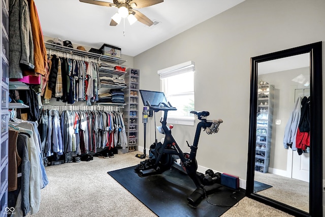 interior space featuring ceiling fan and carpet floors