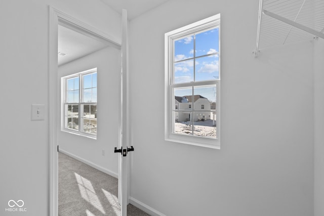 entryway with plenty of natural light and light colored carpet