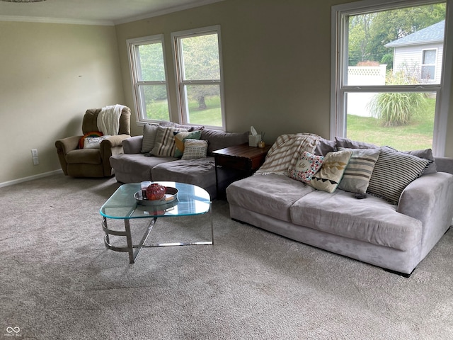 living room with carpet flooring and ornamental molding