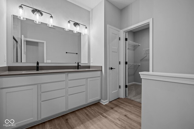 10618 Maidenhair Dr, Indianapolis, IN 46239 - bathroom featuring wood finished floors, double vanity, and a walk in closet