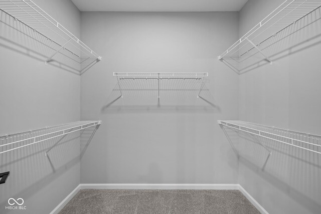 10618 Maidenhair Dr, Indianapolis, IN 46239 - walk in closet with carpet