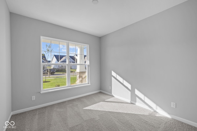 spare room featuring light carpet