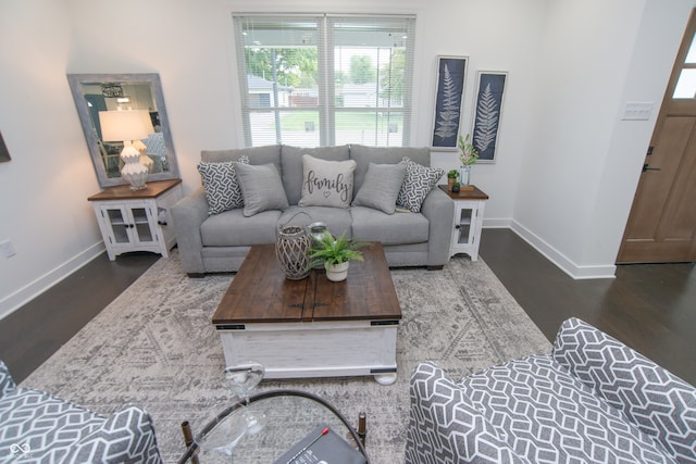 living room featuring dark wood-type flooring