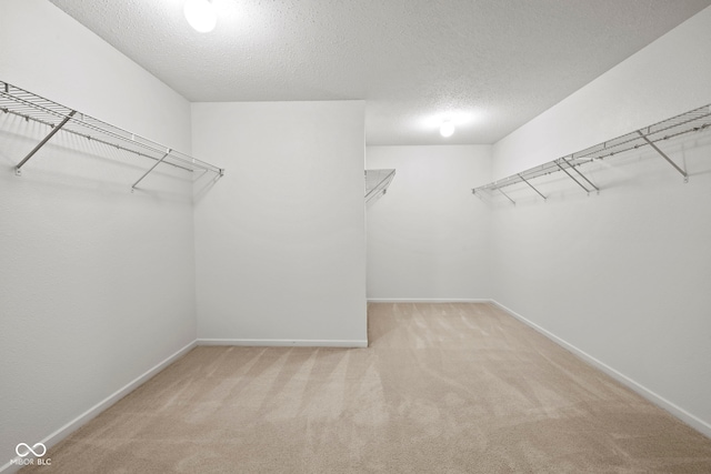 walk in closet with light colored carpet