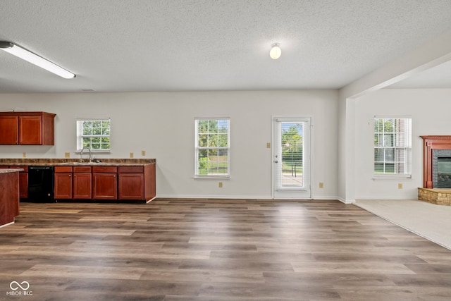 kitchen featuring dishwasher, dark wood-type flooring, a brick fireplace, and a wealth of natural light