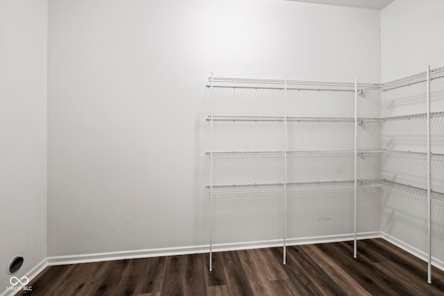 spacious closet featuring dark hardwood / wood-style flooring