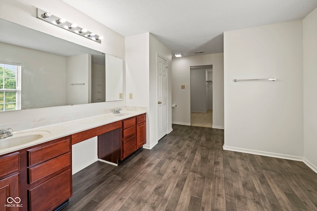 bathroom with wood-type flooring and vanity