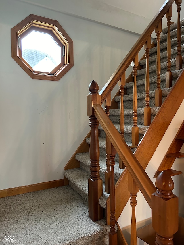 staircase featuring carpet flooring