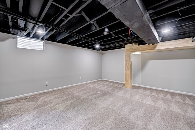 basement featuring carpet