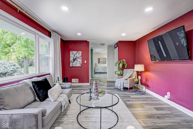 living room featuring wood-type flooring