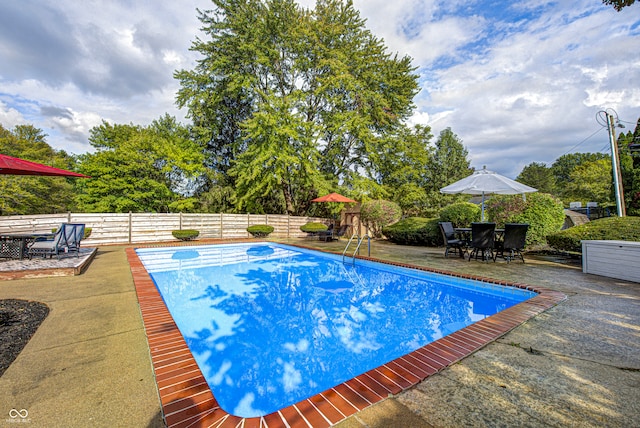 view of swimming pool featuring a patio area