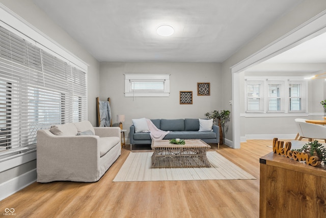 living room with light wood-type flooring