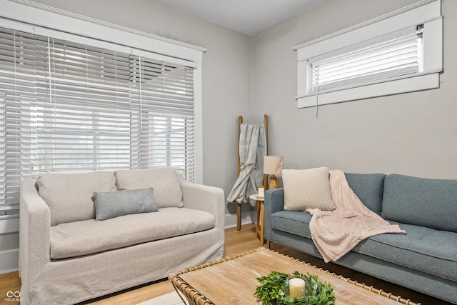 living room with hardwood / wood-style floors