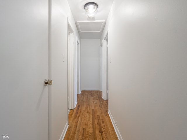 hallway featuring light hardwood / wood-style flooring