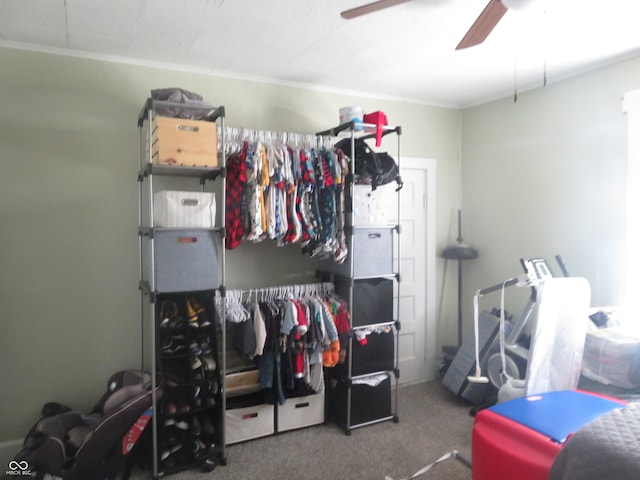 walk in closet featuring ceiling fan and carpet flooring