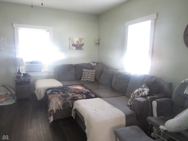 living room featuring cooling unit and dark wood-type flooring