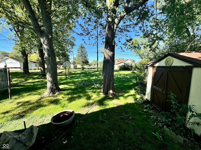 view of yard featuring a shed