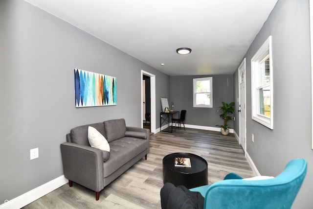 living room with light hardwood / wood-style flooring