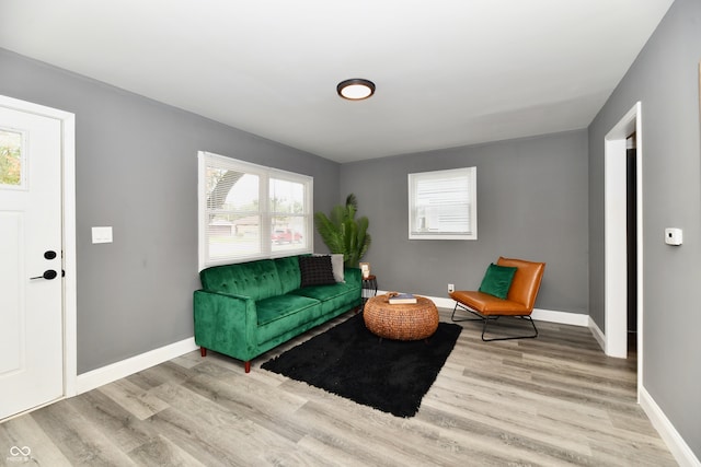 living room featuring light wood-type flooring