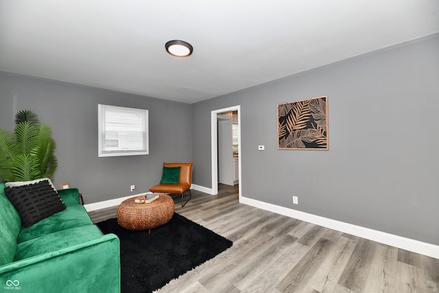 sitting room featuring hardwood / wood-style flooring