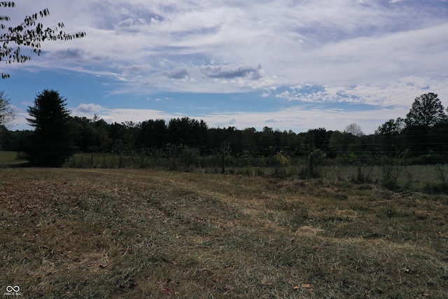 view of local wilderness