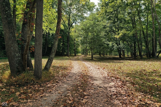 view of road