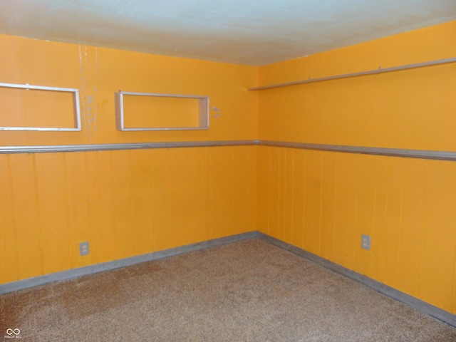 spare room featuring wooden walls and carpet