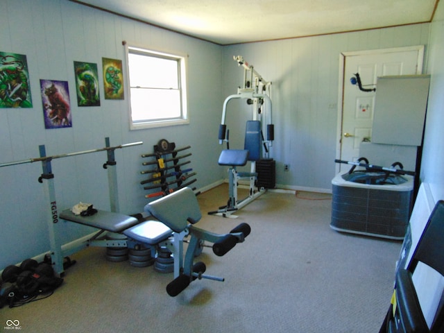 workout room with carpet floors