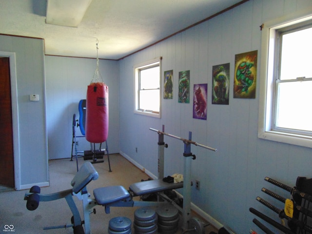 exercise room featuring carpet floors and wood walls