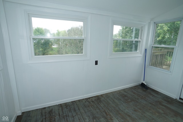 spare room featuring plenty of natural light and dark wood-type flooring