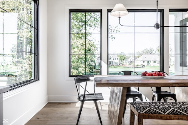 dining area with wood-type flooring and a healthy amount of sunlight