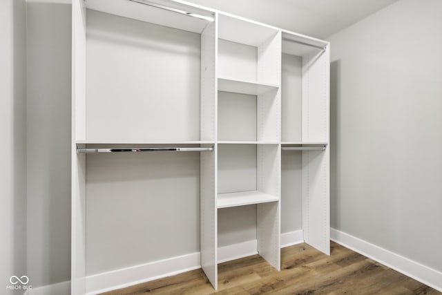 spacious closet featuring hardwood / wood-style flooring