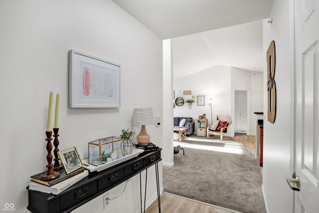 6517 Emerald Hill Ct Apt 312, Indianapolis, IN 46237 - hall with light wood-style floors and lofted ceiling
