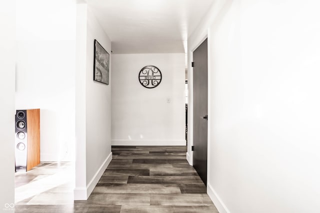 corridor with dark wood-type flooring