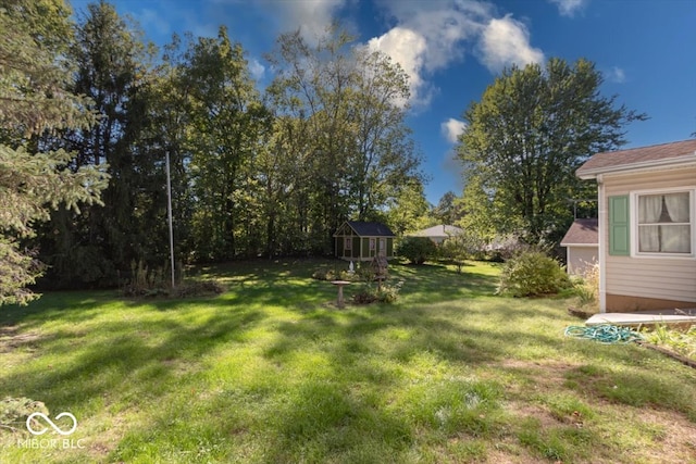 view of yard with a shed