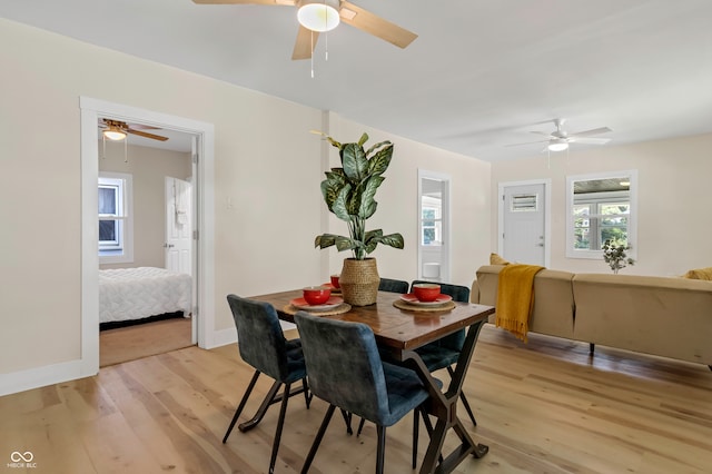 dining space with ceiling fan and light wood-type flooring