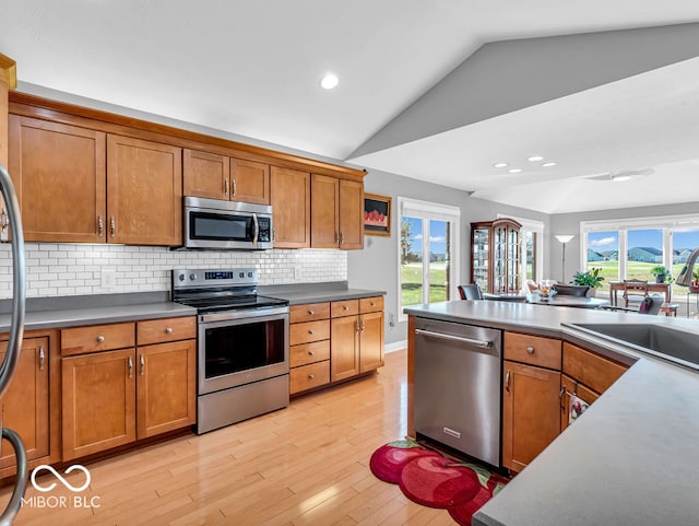 kitchen with appliances with stainless steel finishes, a healthy amount of sunlight, lofted ceiling, and sink