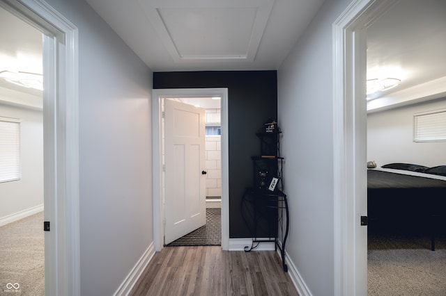 corridor featuring wood-type flooring