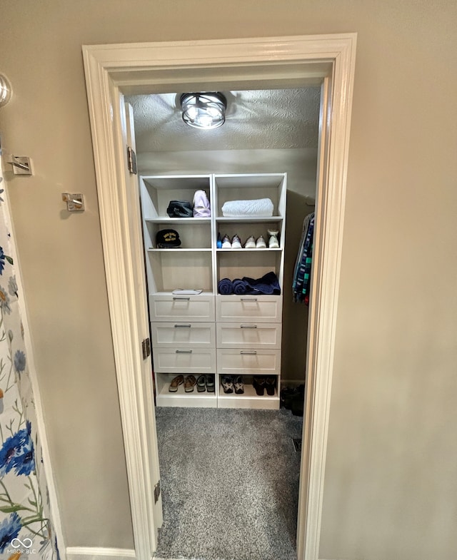 walk in closet with carpet flooring